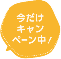 今だけキャンペーン中